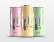 Hoi – naturally brewed