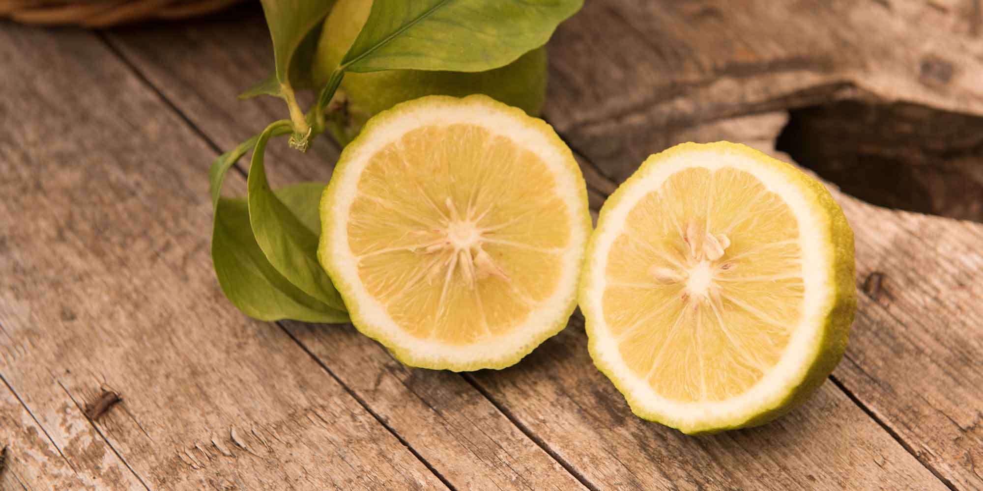 Art of Italicus Aperitivo Challenge 2024 Schweiz BAR NEWS